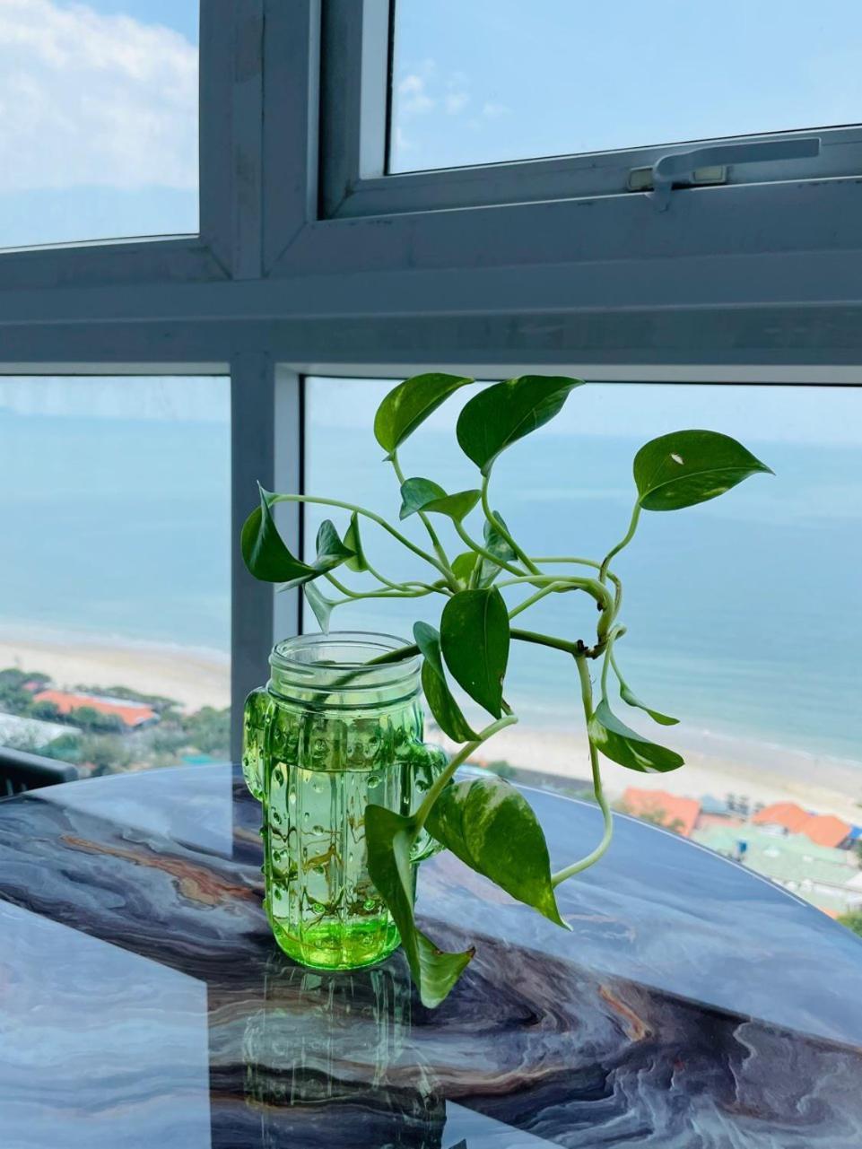 Can Ho Oasky Canh Bien Bai Sau Vung Tau Eksteriør bilde